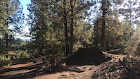 The lair