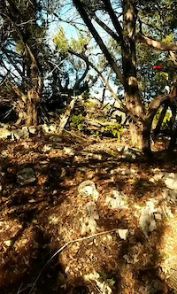 man flies off bike