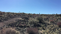 Chollo gap
