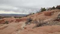 Finding the line in Placitas