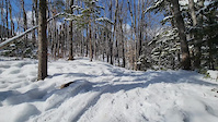 Snow-covered Clark Kent