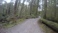 Bridle Path Climb (Fisherman's to Hyannis)