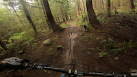 root flip