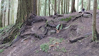 Chuckanut drop crash