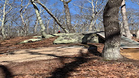 Woody Hill drop