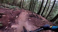 watch out for moss