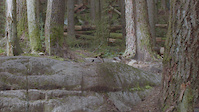 A Local Lap