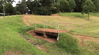 Great jump at Koala trees