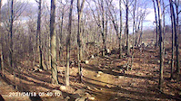 c4 trail