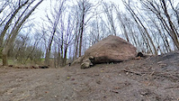 Friday Fail - 6 foot rock jump OTB