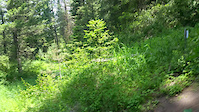 Stitches Drop - Jug Mountain - McCall, ID