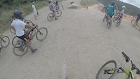 POV: Bin Chicken