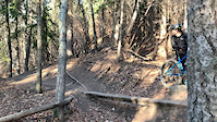 Alex on Log Crossing