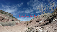 Grafton Road Gap crash