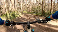 My crash at Boy Scout trail