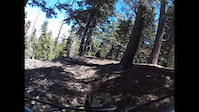 BoyScout Trail