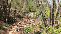 Rock Garden