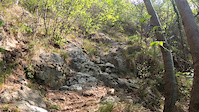 Rock Garden