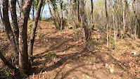 Steep Section