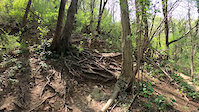 Roots section