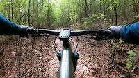 Millbrook Trail Eastern Side Descent