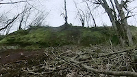 Dustin OTB into Tree