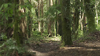 Enduro Paralaia
