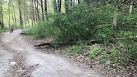 Glenwood Climb