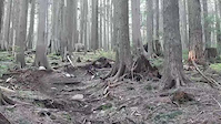 Pile of Rocks Work