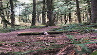 Thornhill Gap