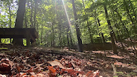 Just the drops on FH Black non GoPro views