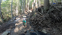 track stand gone wrong