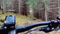 Herulf-stien i Trolldalskogen