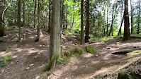 Galbraith Dirt Jumps