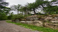 Brutus gap cypress