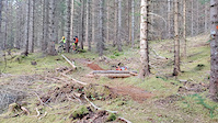 Trollskogen Enduro a small log jump