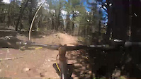 Mountain biker boobytrap almost got me.