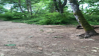 Small table at Dash Point
