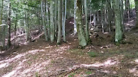 Valdaier DH/Trail