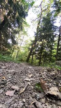 Petit road gap