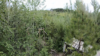 Greener