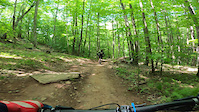 POV into a tree at Snowshoe