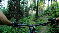 Kerbin - Forks, WA