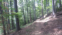 Baloo 02 2021 - second part