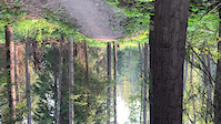 Panorama has to flat save.
