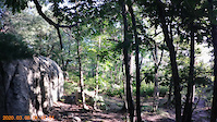 lynn woods 7/24/21