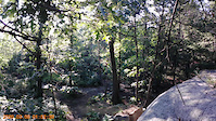 lynn woods 7/24/21
