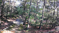 lynn woods 7/24/21