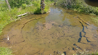 The Source