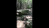 Scott vs Rock